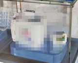 ]IBC2026] 데이티