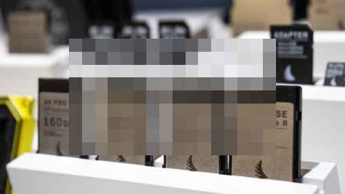 앤젤버드와의 대화 앤젤버드와의 대화 - 사진 1