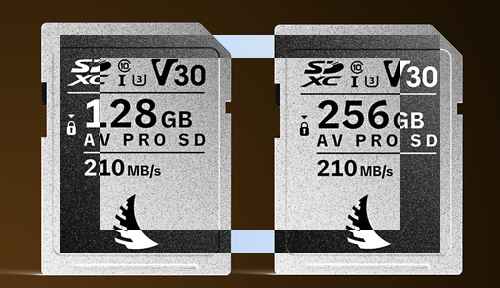 엔젤버드, AV PRO SD V30 MK2 출시 엔젤버드, AV PRO SD V30 MK2 출시 - 사진 1