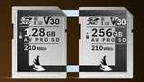 엔젤버드, AV PRO SD V30 MK2 출시