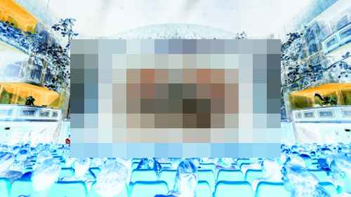 태양의 서커스 ALIZÉ 기술 인터뷰 태양의 서커스 ALIZÉ 기술 인터뷰 - 사진 2