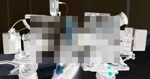 아리 알렉사 미니 VS파나소닉 GH7 아리 알렉사 미니 VS파나소닉 GH7 - 사진 1