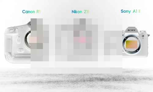 캐논 R1 vs 니콘 Z9 vs 소니 a1 II 리뷰 - 사진 1