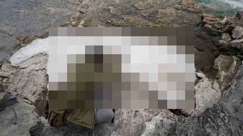 캐논 R1 vs 니콘 Z9 vs 소니 a1 II 리뷰 - 사진 2