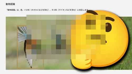 파나소닉, 캐논·니콘·탐론 키트로 촬영한 사진 사용하다 적발돼 사과 파나소닉, 캐논·니콘·탐론 키트로 촬영한 사진 사용하다 적발돼 사과 - 사진 1