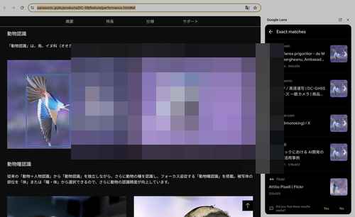파나소닉, 캐논·니콘·탐론 키트로 촬영한 사진 사용하다 적발돼 사과 파나소닉, 캐논·니콘·탐론 키트로 촬영한 사진 사용하다 적발돼 사과 - 사진 3