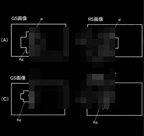 니콘, 롤링 셔터/글로벌 셔터 센서 결합 특허 공개 니콘, 롤링 셔터/글로벌 셔터 센서 결합 특허 공개 - 사진 2