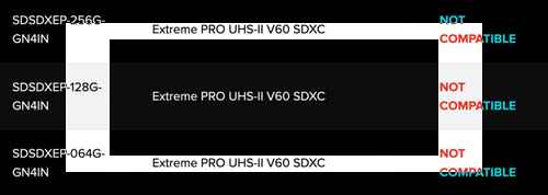 캐논,EOS R5 Mark II 및 특정 SanDisk SD 카드 촬영시 이미지 손상 발표 캐논,EOS R5 Mark II 및 특정 SanDisk SD 카드 촬영시 이미지 손상 발표 - 사진 2