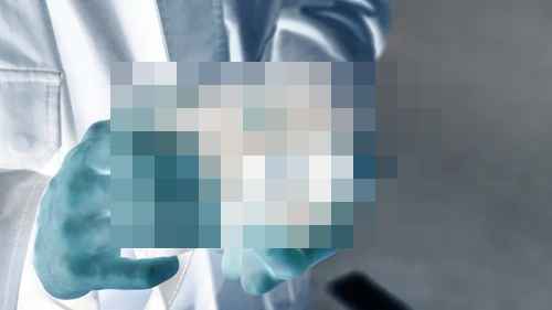 라이카의 '생존과 변신 라이카의 '생존과 변신 - 사진 2