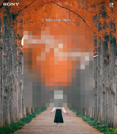 소니, 가을맞이 정품등록 프로모션 진행 - 사진 1