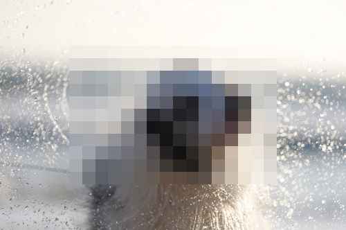 소니, 세대 풀프레임 미러리스 'Alpha 7 V (A7M5)' 출시 소니, 세대 풀프레임 미러리스 'Alpha 7 V (A7M5)' 출시 - 사진 2