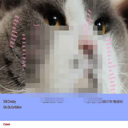 캐논코리아, 반려동물과의 일상 담은 사진전 <Still Chubby - 이대로 오래> 개최 - 사진 1