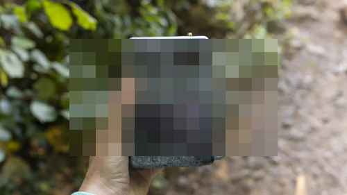 자이스, Secacam 7 리뷰 트레일 카메라 자이스, Secacam 7 리뷰 트레일 카메라 - 사진 2
