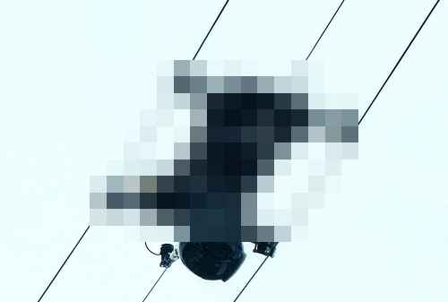 2024 파리 올림픽 골프 경기 촬영 비하인드 컷 - 사진 1