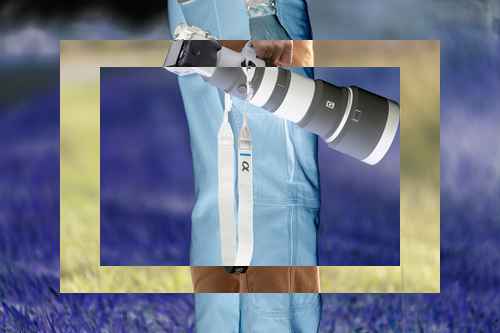 소니 ,400-800mm f/6.3-8 G OSS 렌즈 소니 ,400-800mm f/6.3-8 G OSS 렌즈 - 사진 2