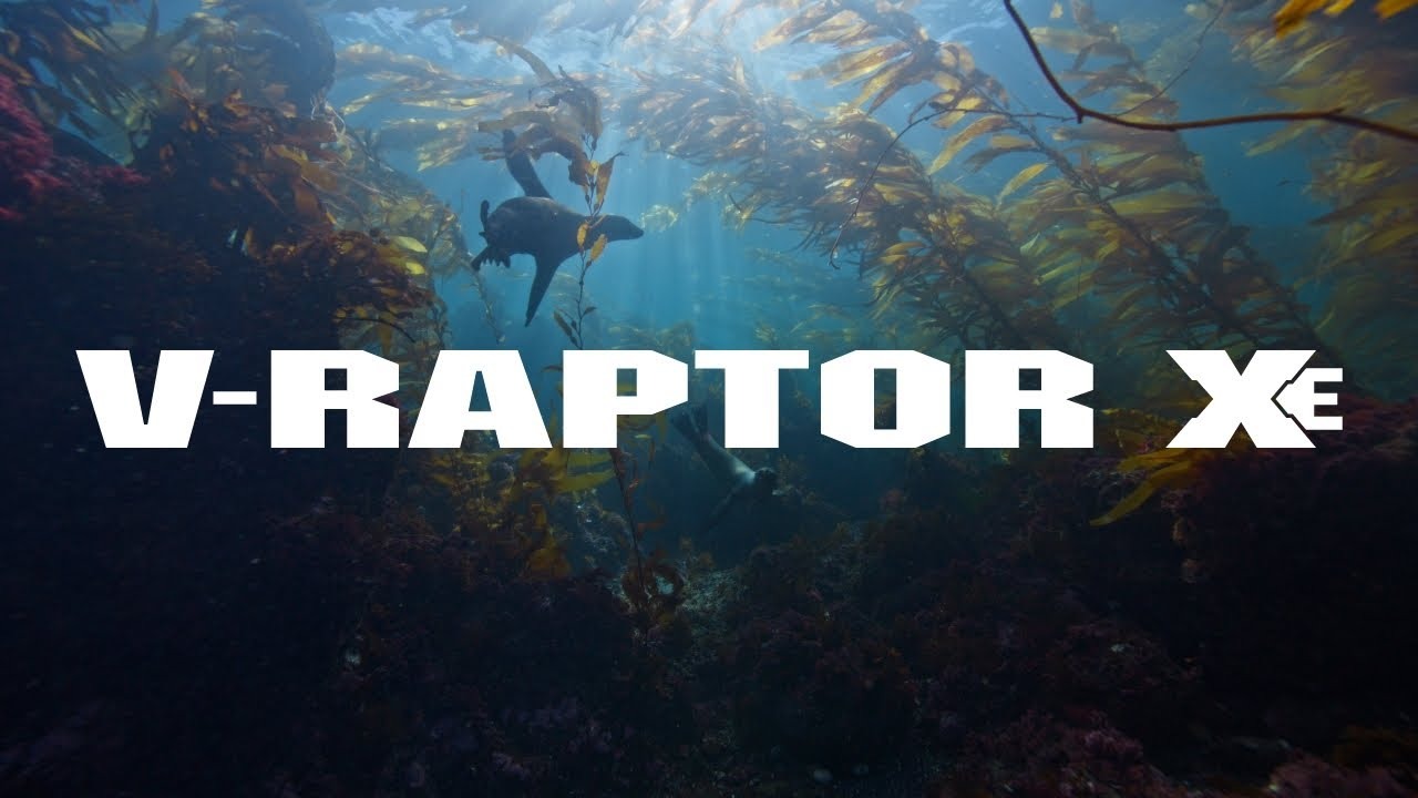 RED, ‘V-RAPTOR XE’ 영상