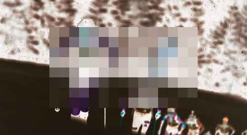 마운틴 어텍 SRT 라이브 스트리밍 테스트기 마운틴 어텍 SRT 라이브 스트리밍 테스트기 - 사진 2