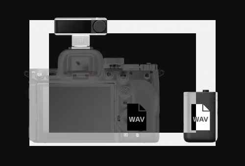 소니, 신형 무선 마이크 시스템 'ECM-W5' 발표 소니, 신형 무선 마이크 시스템 'ECM-W5' 발표 - 사진 3
