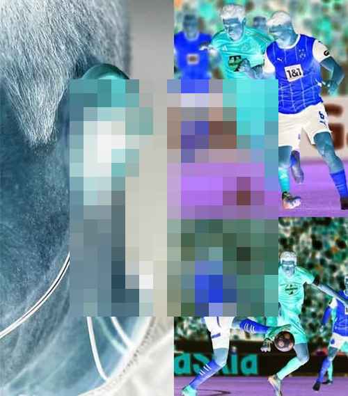 리델 , 초경량 심판 카메라 ‘RefCam’ 리델 , 초경량 심판 카메라 ‘RefCam’ - 사진 3