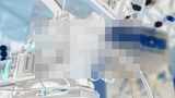 니프로스, 시네라이브용 어댑터 '베가-R' 라인업 출시