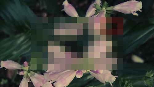 녹화 비트레이트, 사양과 실제 값의 차이 - 사진 2