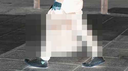 카메라 백팩 가이드 - 사진 3