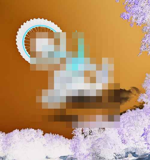 니콘 Z 9, 펌웨어 5.30 업데이트 니콘 Z 9, 펌웨어 5.30 업데이트 - 사진 3