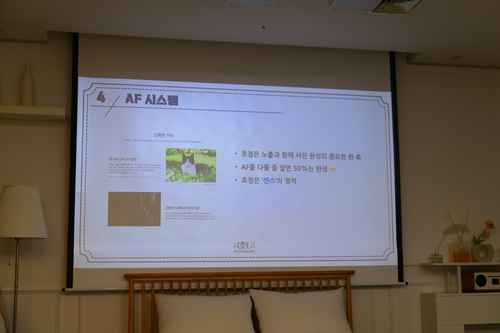 용산, 즐거운 카메라 - 후지필름 카메라 클래스 - 사진 12