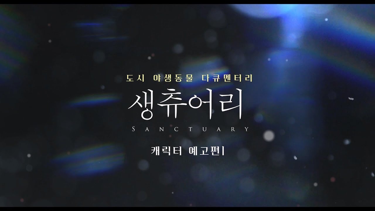 시네마 달